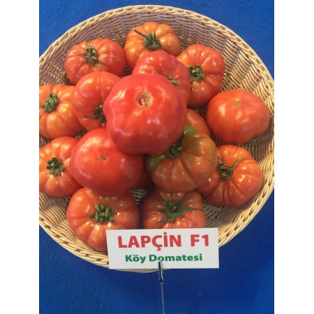 Lapçin F1 Köy Domates Fidesi